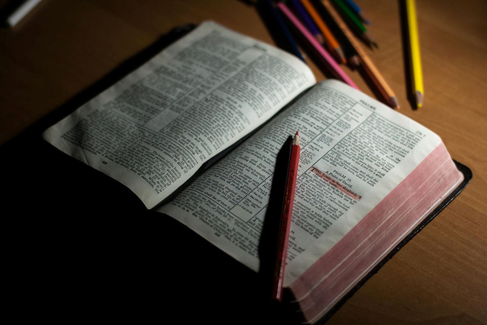 An open Bible with a text highlighted.