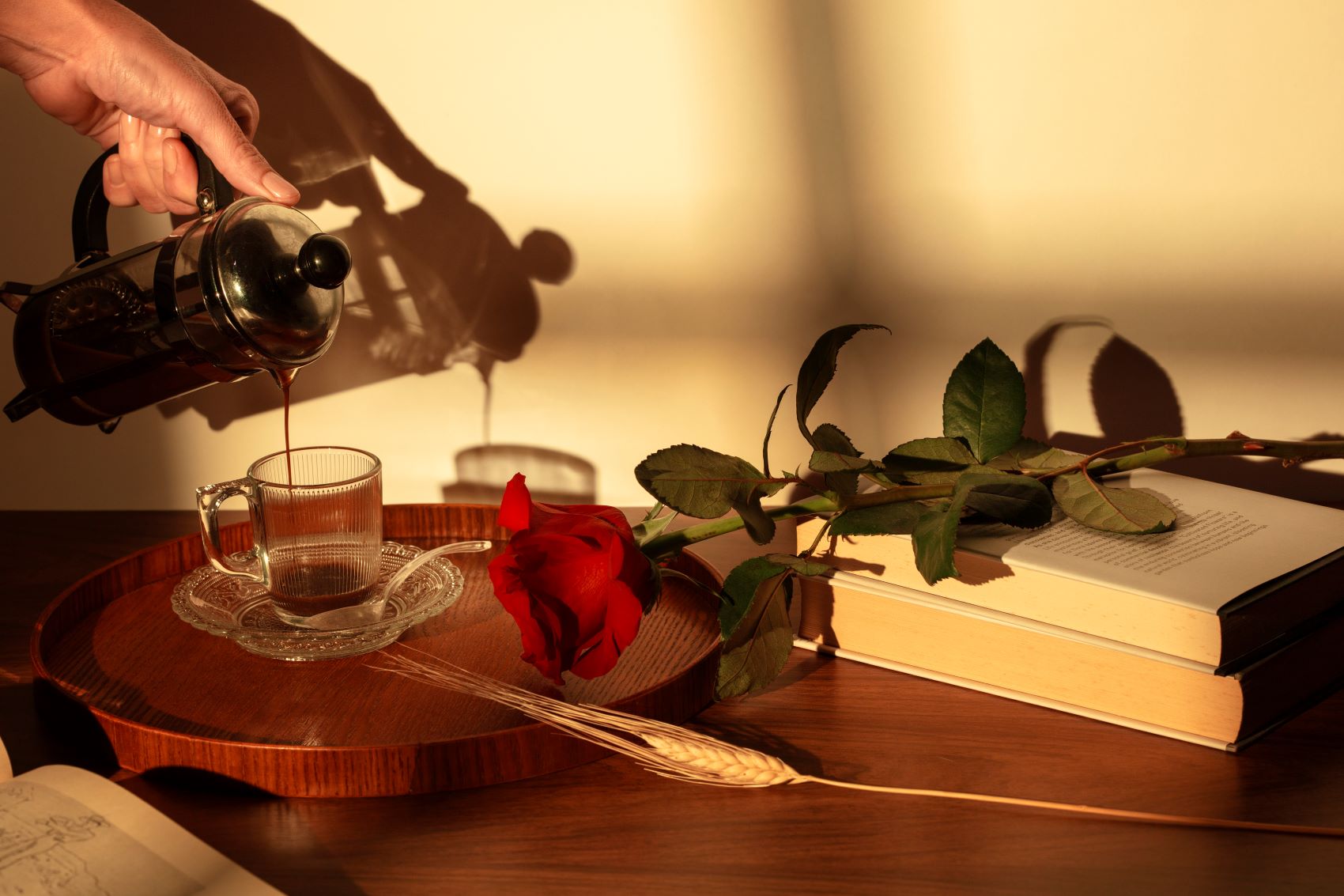 Romantic novels about second chances and a rose placed on top of them